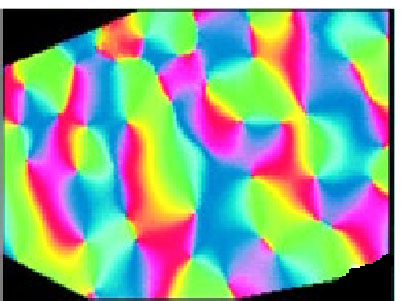 Orientation map driven by non-amplyopic eye